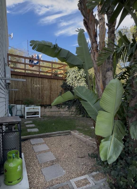 Before: garden in Noordhoek